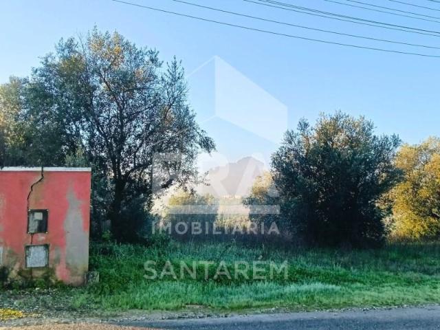 Terreno venda em Santarém