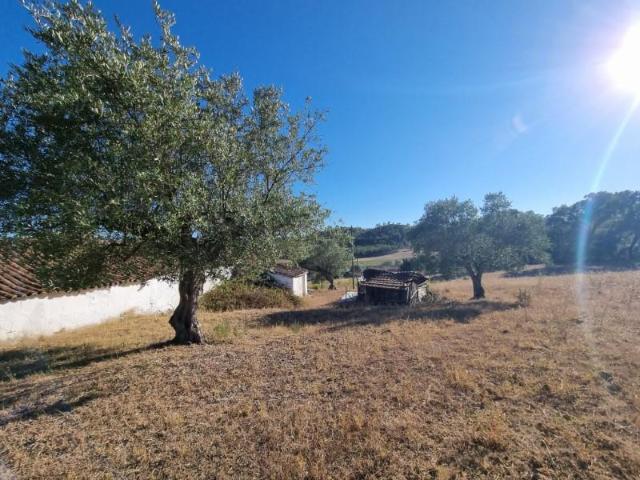 Terreno venda em Santarém