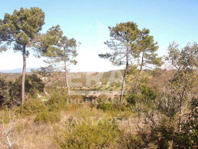 Terreno venda em Arneiro dos Borralhos, Santarém