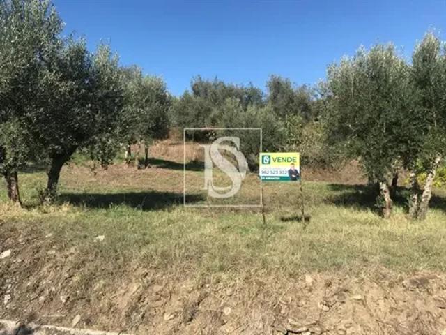 Terreno venda em Santarém