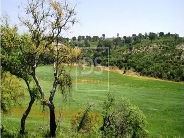 Terreno venda em Santarém