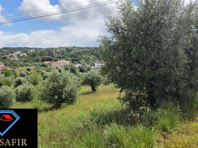 Terreno venda em Madalena e Beselga, Tomar