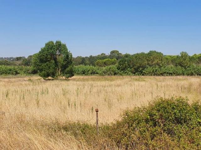 Terreno venda em Madalena e Beselga, Tomar