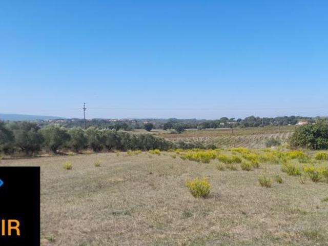 Terreno venda em Madalena e Beselga, Tomar