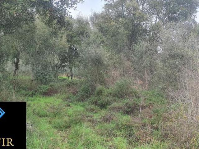 Terreno venda em Tomar, Santarém