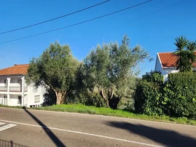 Terreno venda em Torres Novas, Santarém