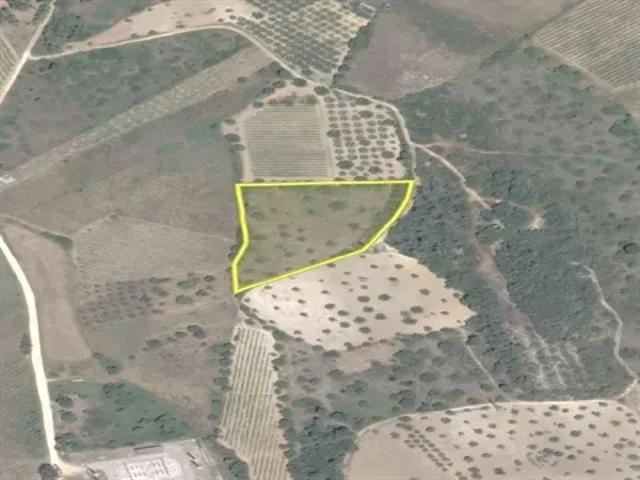 Terreno venda em Torres Novas, Santarém