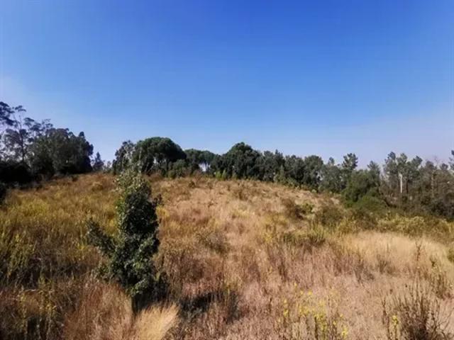 Terreno venda em Torres Novas, Santarém