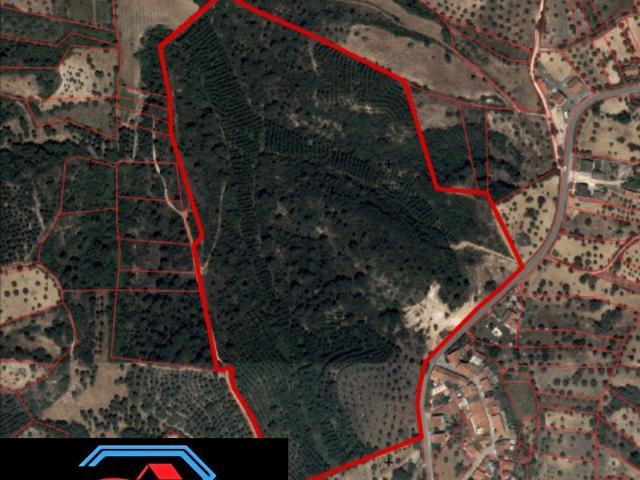 Terreno venda em Olaia e Paço, Torres Novas
