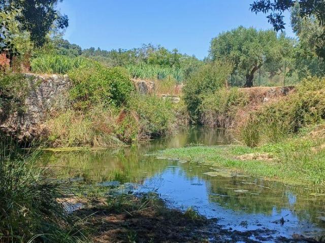 Terreno venda em Beselga de Cima, Torres Novas