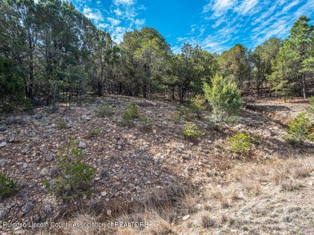 Land for sale in New Mexico