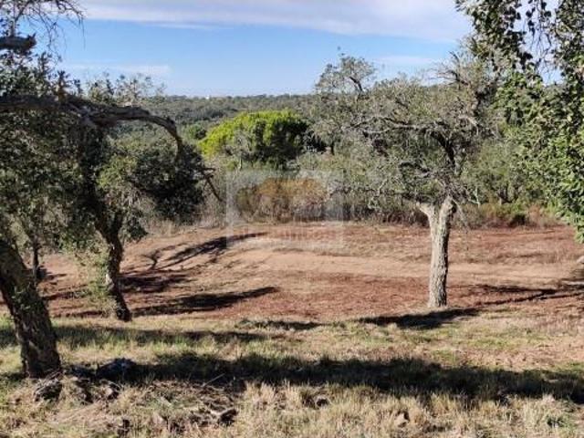 Terreno venda em Santiago Do Cacém, Setúbal
