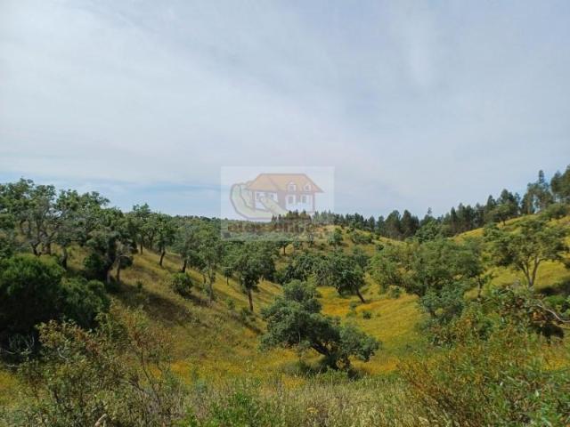 Terreno venda em Santiago do Cacém, Santa Cruz e São Bartolomeu da Serra, Santiago do Cacém