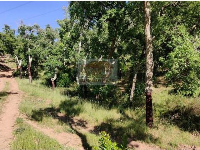 Terreno venda em Santiago Do Cacém, Setúbal