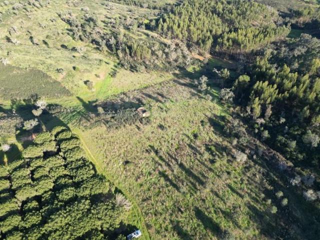 Terreno venda em Santiago do Cacém, Santa Cruz e São Bartolomeu da Serra, Santiago do Cacém