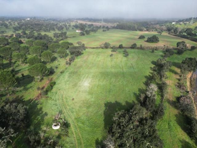 Terreno venda em Santiago Do Cacém, Setúbal