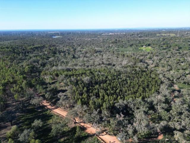 Terreno venda em Santiago do Cacém, Santa Cruz e São Bartolomeu da Serra, Santiago do Cacém