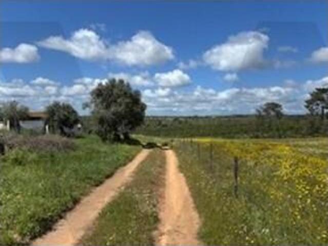 Terreno venda em Santiago Do Cacém, Setúbal