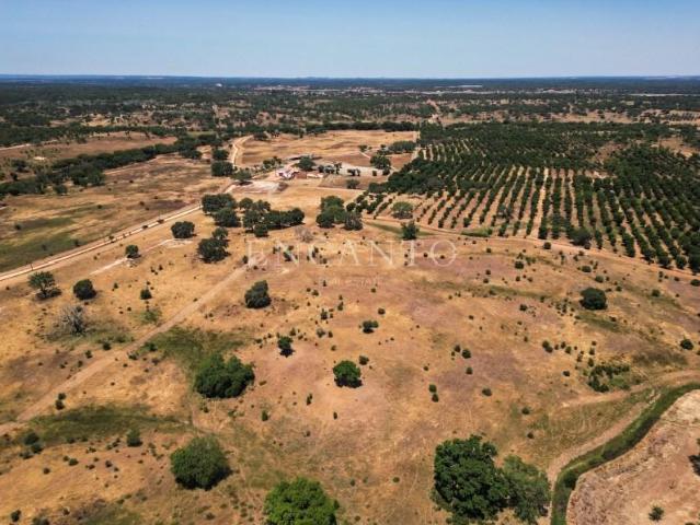 Terreno venda em Santiago Do Cacém, Setúbal