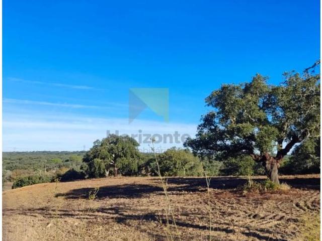 Casa venda em Santiago Do Cacém, Setúbal