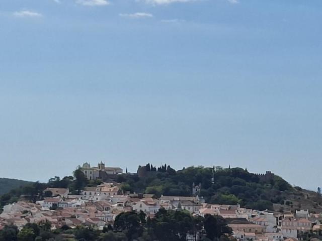 Terreno venda em Santiago Do Cacém, Setúbal