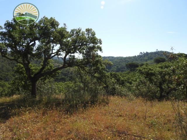 Terreno venda em Santiago Do Cacém Terreno venda em Santiago Do Cacém