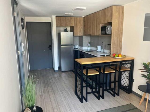 Santiago, Lindo y luminoso Dpto 1D+1B full amoblado 152877