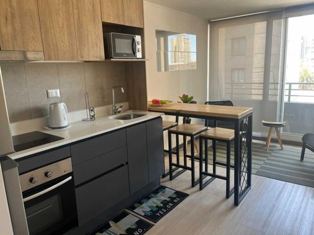 Santiago, Lindo y luminoso Dpto 1D+1B full amoblado 152877