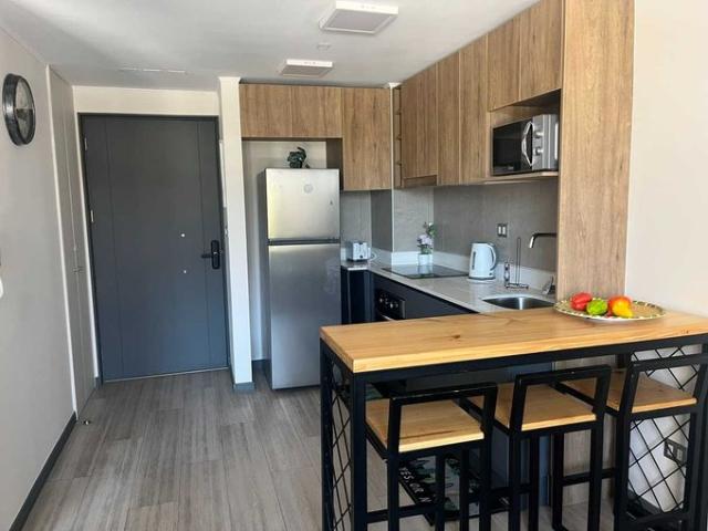Santiago, Lindo y luminoso Dpto 1D+1B full amoblado 152877