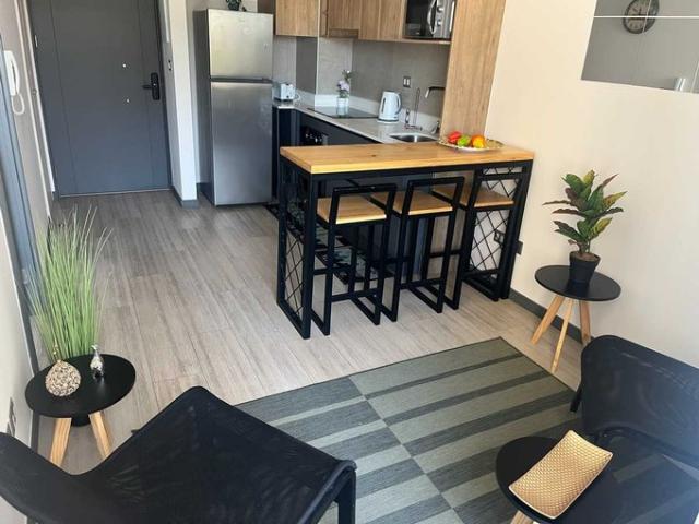 Santiago, Lindo y luminoso Dpto 1D+1B full amoblado 152877