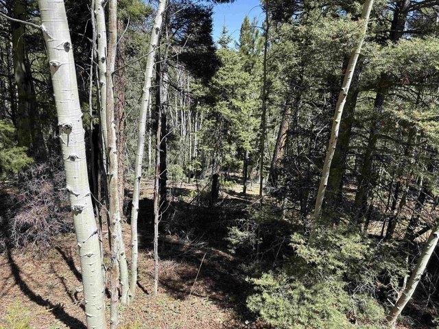 Land for sale in Angel Fire, New Mexico
