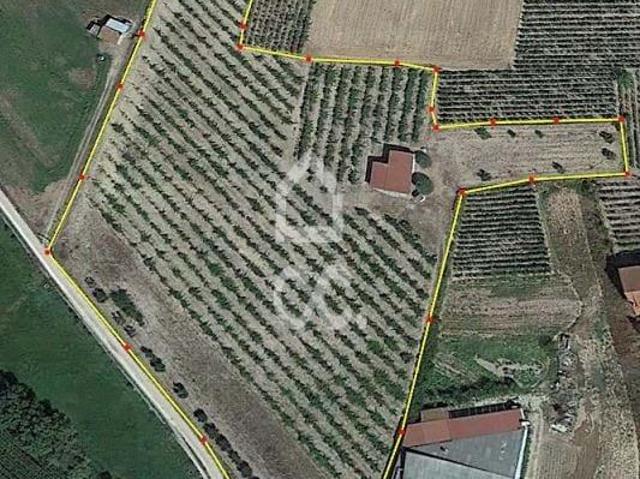 Terreno venda em Chaves, Vila Real