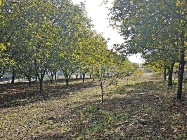 Terreno venda em Santo Tirso, Porto