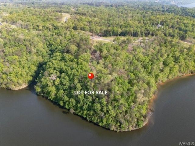 Land for sale in Tuscaloosa