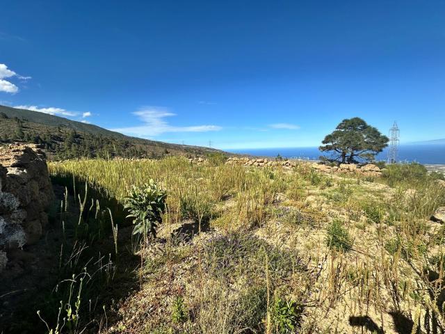 Terreno en venta en Villa de Arico, Arico