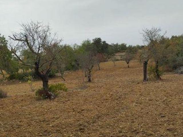 Terreno venda em São Brás De Alportel, Faro