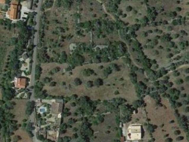 Terreno venda em São Brás De Alportel, Faro