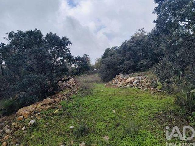 Terreno venda em São Brás De Alportel, Faro