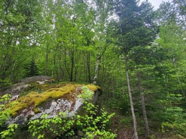 Land for sale in New Hampshire