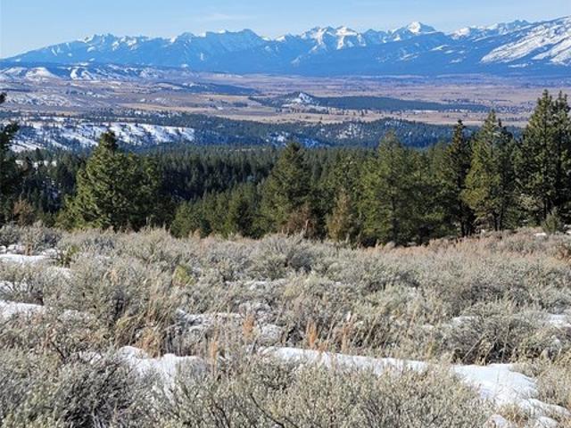 Land for sale in Ravalli, Montana