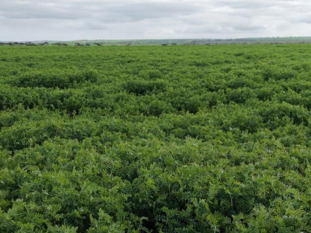 Property for sale in Dowlingville, South Australia