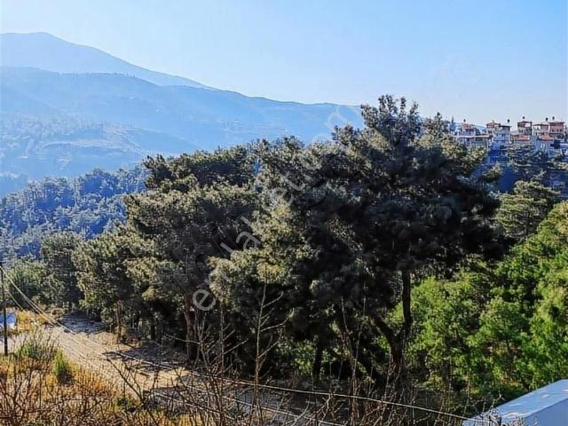 Hatay içerisinde satılık mülk