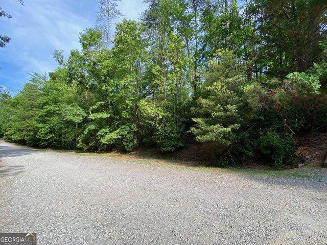 Land for sale in Sautee Nacoochee, Georgia