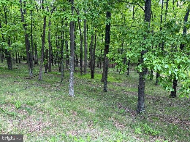 Land for sale in New Creek, West Virginia