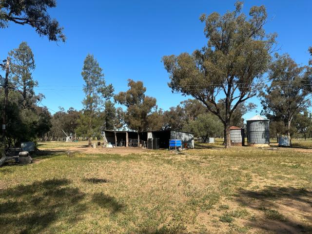 Cottage for sale in Quandialla, New South Wales