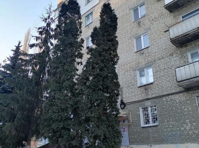 Квартира аренда в Саратов