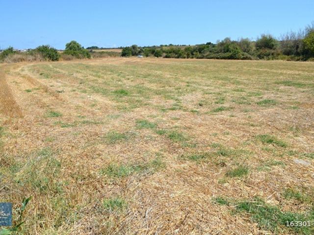 Saray, Tekirdağ içerisinde satılık Arsa