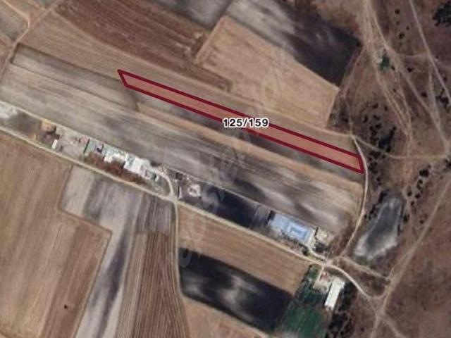 Demirler Mahallesi, Saray içerisinde satılık Arsa
