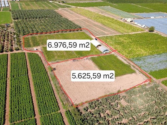Orhangazi, Bursa içerisinde satılık Arsa