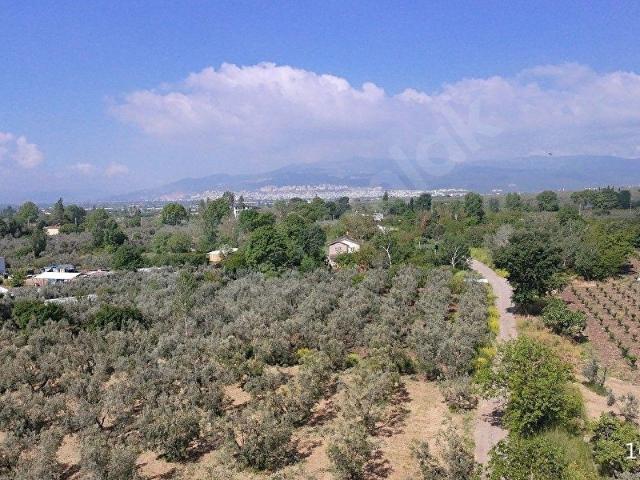 Orhangazi, Bursa içerisinde satılık Arsa